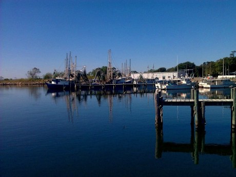 pensacola oct2012 pattis 09