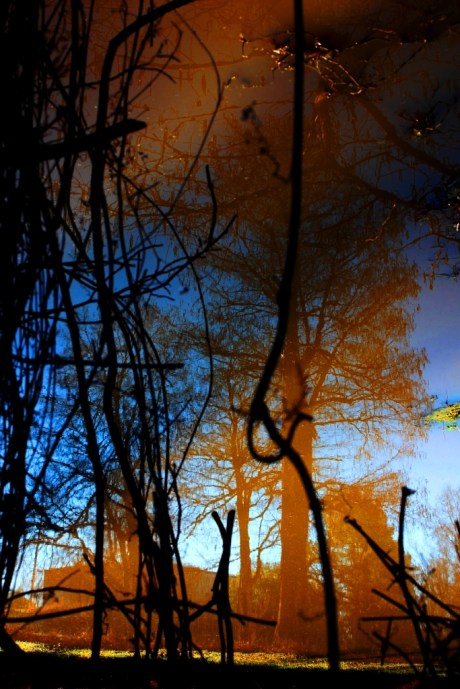 photo - Brad Hardisty