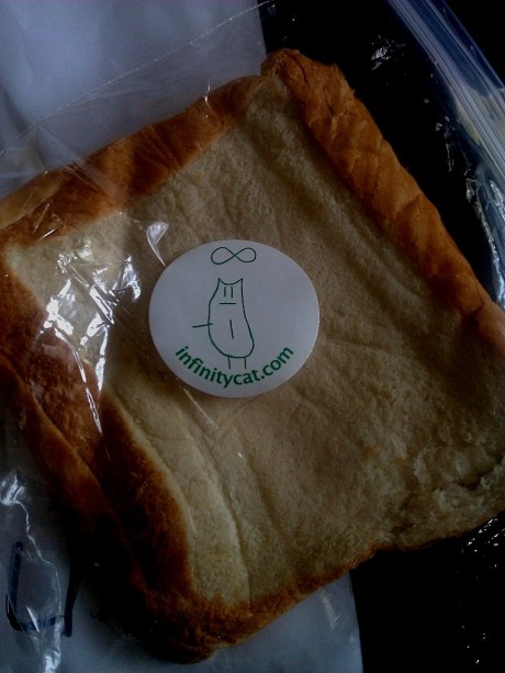 inf cat 10 yes sandwich