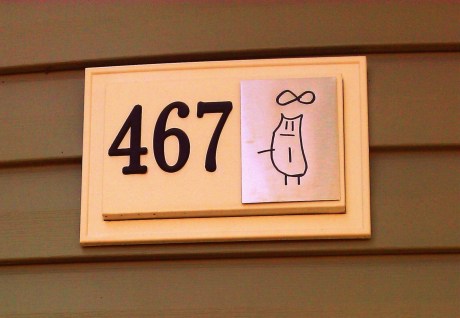 infinity cat headquarters performer